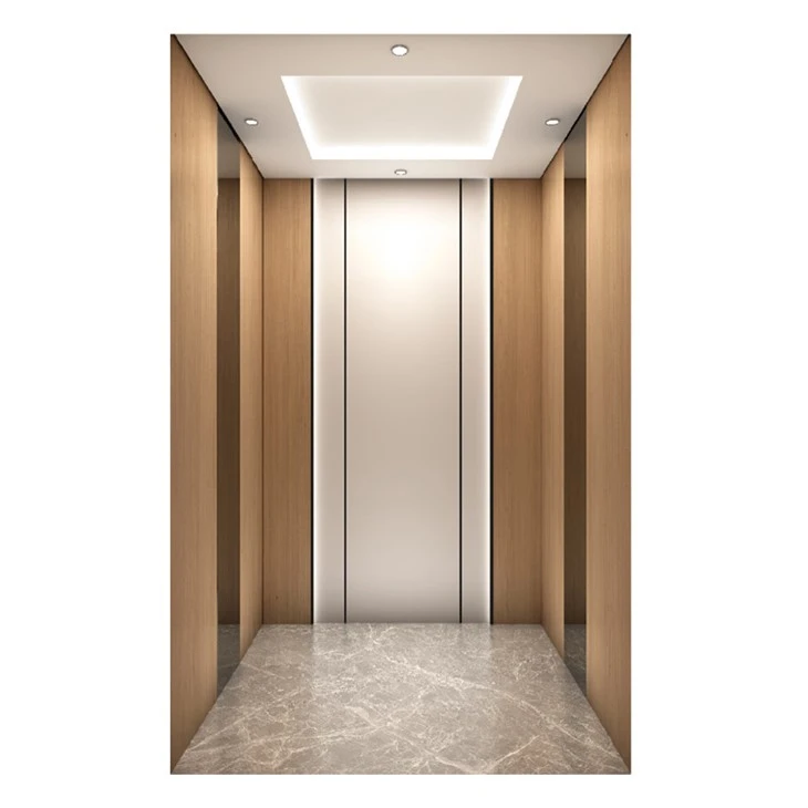 Elevador único para casa